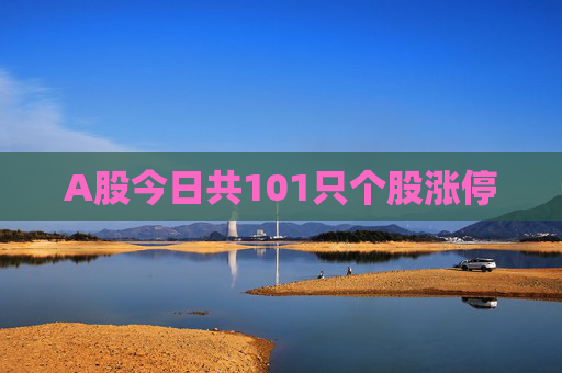 A股今日共101只个股涨停