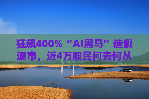狂飙400%“AI黑马”造假退市，近4万股民何去何从？