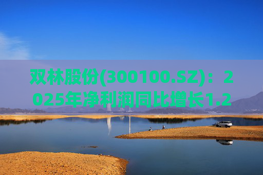 双林股份(300100.SZ)：2025年净利润同比增长1.25% 拟10股派1元