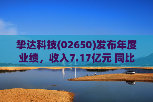 挚达科技(02650)发布年度业绩，收入7.17亿元 同比增加20.75% 海外业务收入创历史新高