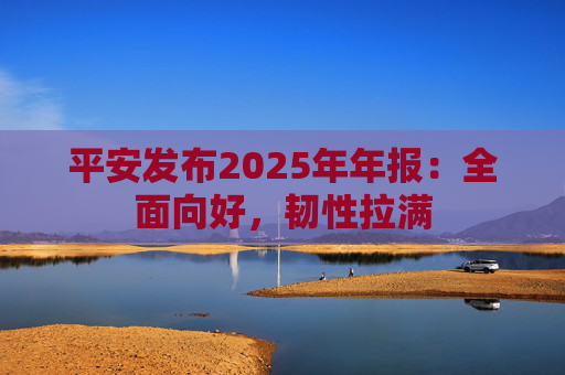 平安发布2025年年报：全面向好，韧性拉满