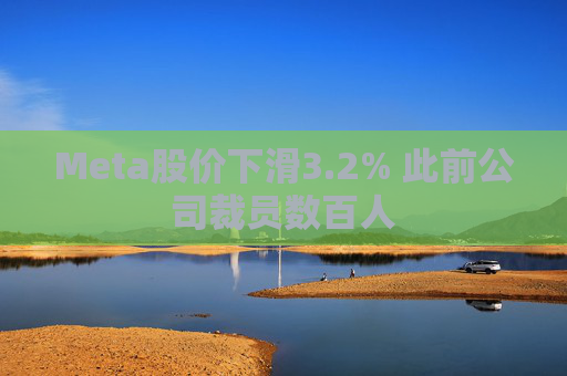 Meta股价下滑3.2% 此前公司裁员数百人