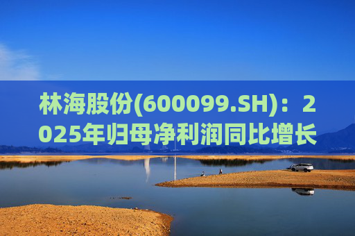 林海股份(600099.SH)：2025年归母净利润同比增长33.24%，每股拟派利0.045元