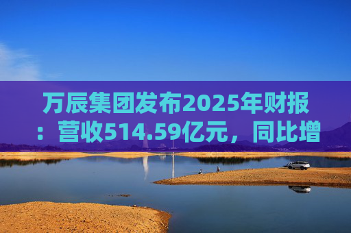 万辰集团发布2025年财报：营收514.59亿元，同比增长59.17%