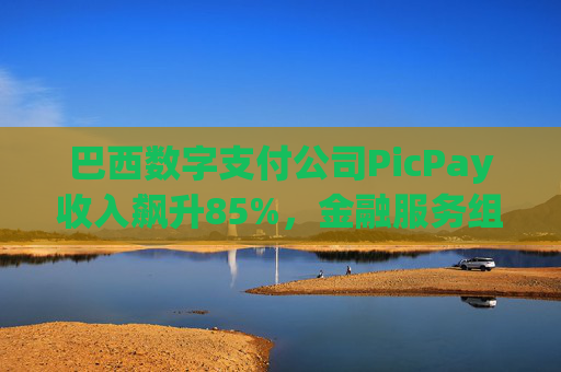 巴西数字支付公司PicPay收入飙升85%，金融服务组合持续扩大