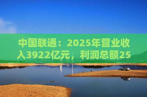 中国联通：2025年营业收入3922亿元，利润总额253亿元  第1张
