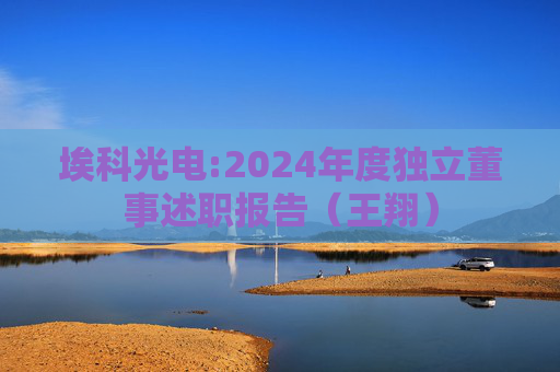 埃科光电:2024年度独立董事述职报告（王翔）