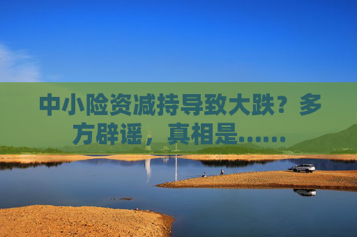 中小险资减持导致大跌？多方辟谣，真相是……