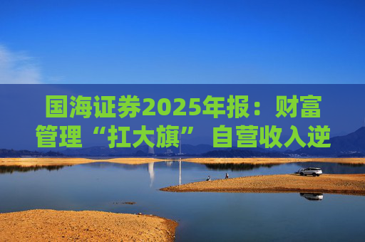 国海证券2025年报：财富管理“扛大旗” 自营收入逆势大降 投行收入占比仅2%