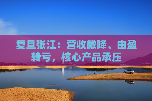 复旦张江：营收微降、由盈转亏，核心产品承压