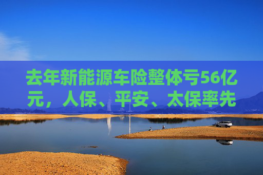 去年新能源车险整体亏56亿元，人保、平安、太保率先跨过盈亏线