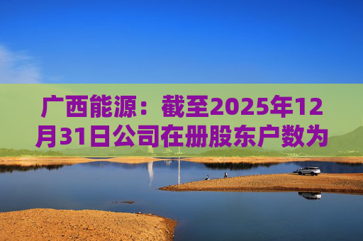 广西能源：截至2025年12月31日公司在册股东户数为53413户