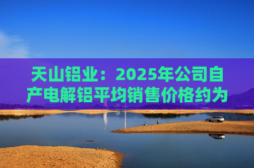 天山铝业：2025年公司自产电解铝平均销售价格约为20600元/吨
