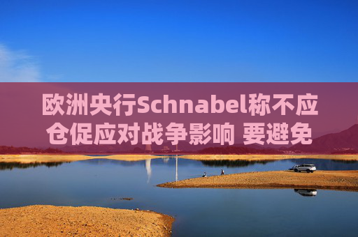 欧洲央行Schnabel称不应仓促应对战争影响 要避免反应过度  第1张