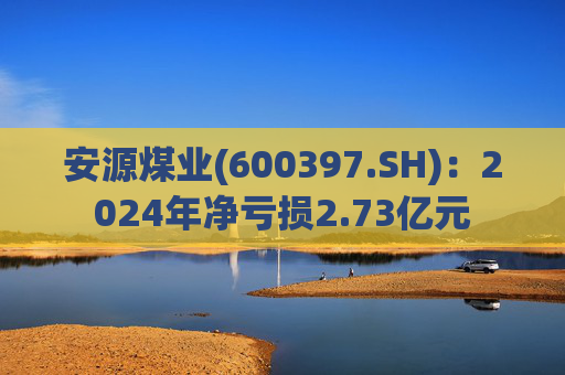 安源煤业(600397.SH)：2024年净亏损2.73亿元  第1张
