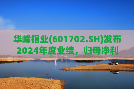 华峰铝业(601702.SH)发布2024年度业绩，归母净利润12.18亿元，同比增长35.44%  第1张