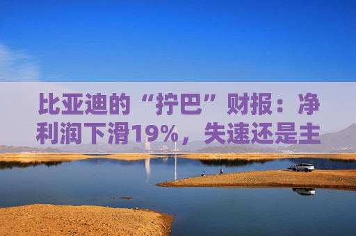 比亚迪的“拧巴”财报：净利润下滑19%，失速还是主动换挡？