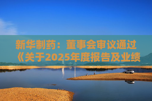新华制药：董事会审议通过《关于2025年度报告及业绩公告的议案》等多项议案