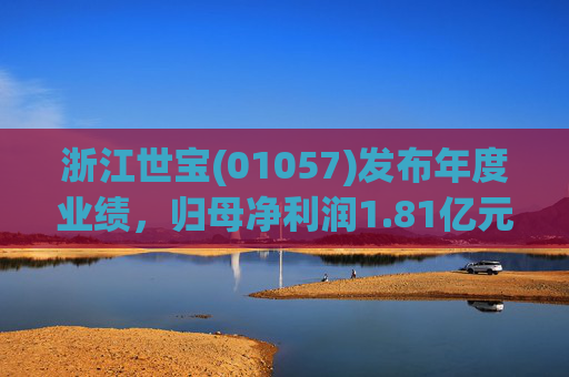 浙江世宝(01057)发布年度业绩，归母净利润1.81亿元 同比增加21.05%