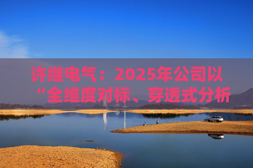 许继电气：2025年公司以“全维度对标、穿透式分析、动态化管控”为核心  第1张