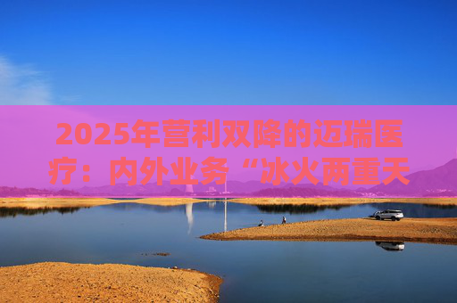 2025年营利双降的迈瑞医疗：内外业务“冰火两重天”