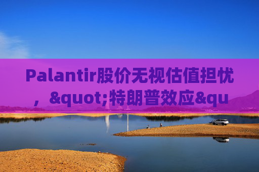 Palantir股价无视估值担忧，"特朗普效应"压倒空头