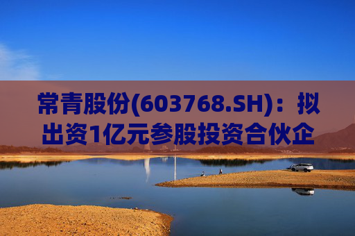 常青股份(603768.SH)：拟出资1亿元参股投资合伙企业