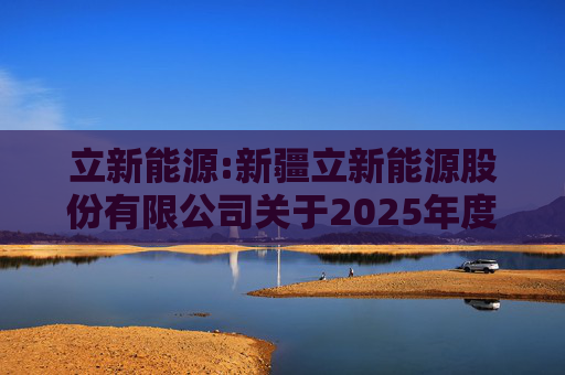 立新能源:新疆立新能源股份有限公司关于2025年度日常关联交易预计的公告  第1张