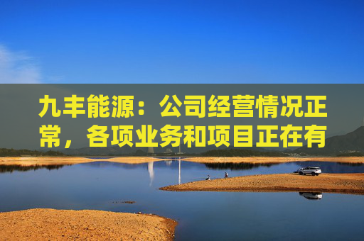 九丰能源：公司经营情况正常，各项业务和项目正在有序推进  第1张