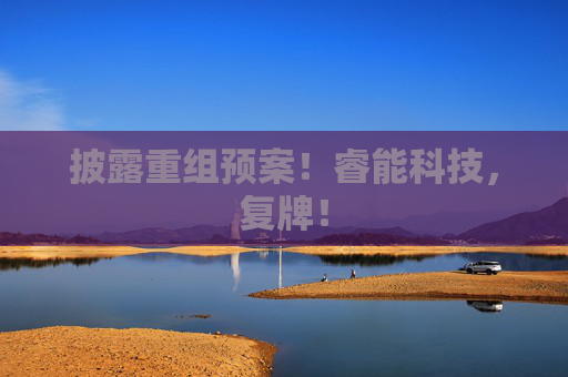 披露重组预案！睿能科技，复牌！