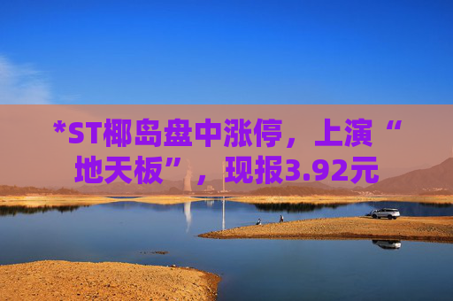 *ST椰岛盘中涨停，上演“地天板”，现报3.92元