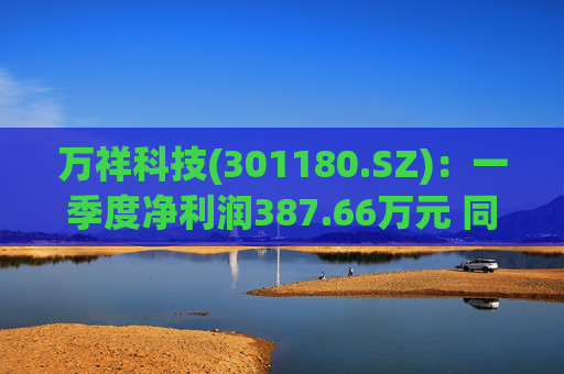 万祥科技(301180.SZ)：一季度净利润387.66万元 同比增加2125.47%