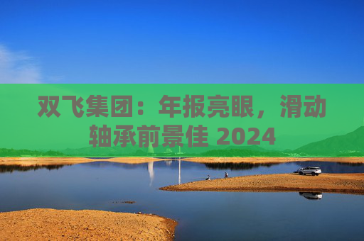 双飞集团:年报亮眼,滑动轴承前景佳 2024