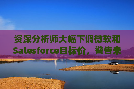 资深分析师大幅下调微软和Salesforce目标价，警告未来一年将"艰难"