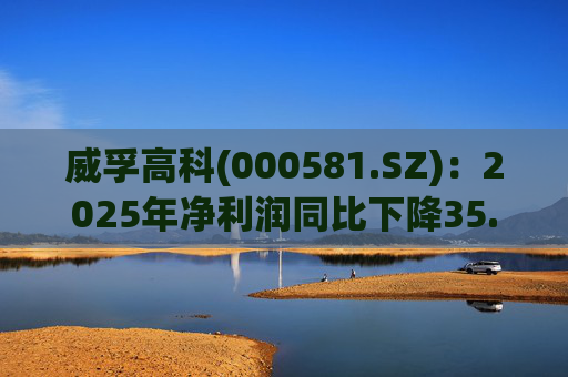 威孚高科(000581.SZ)：2025年净利润同比下降35.63% 拟10股派7元  第1张
