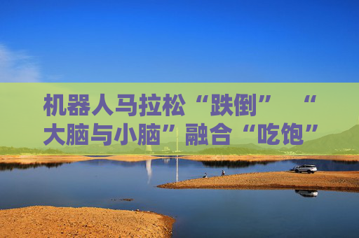 机器人马拉松“跌倒”  “大脑与小脑”融合“吃饱” 第1张