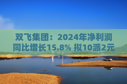 双飞集团：2024年净利润同比增长15.8% 拟10派2元  第1张