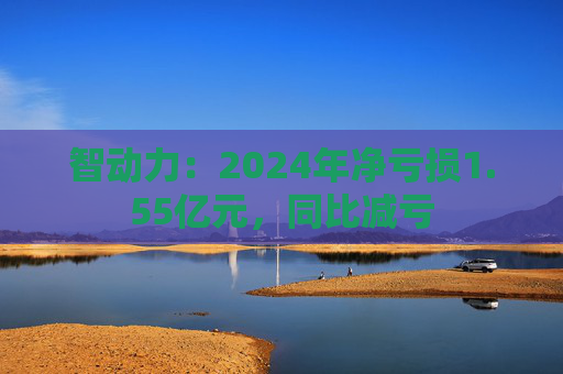 智动力：2024年净亏损1.55亿元，同比减亏  第1张