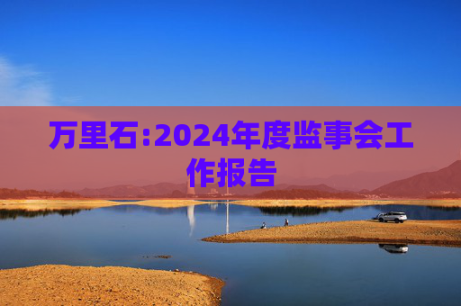 万里石:2024年度监事会工作报告  第1张