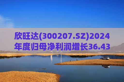 欣旺达(300207.SZ)2024年度归母净利润增长36.43%至14.68亿元，动力电池出货量合计25.29GWh