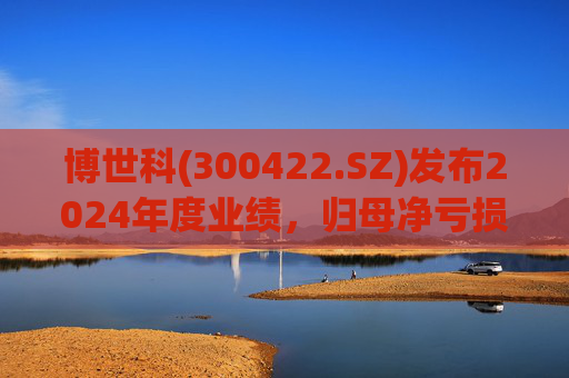 博世科(300422.SZ)发布2024年度业绩，归母净亏损8.65亿元，扩大300.66%