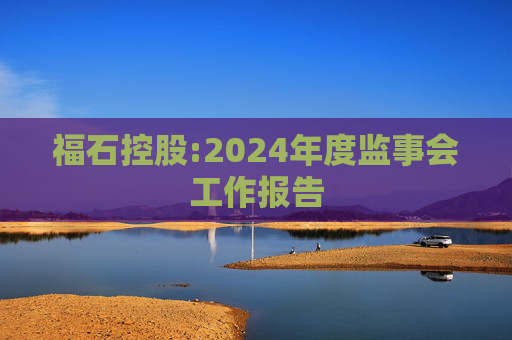 福石控股:2024年度监事会工作报告