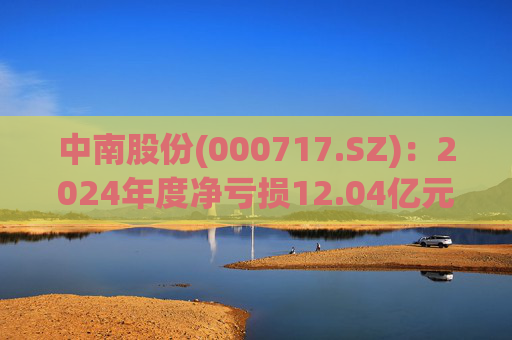 中南股份(000717.SZ)：2024年度净亏损12.04亿元
