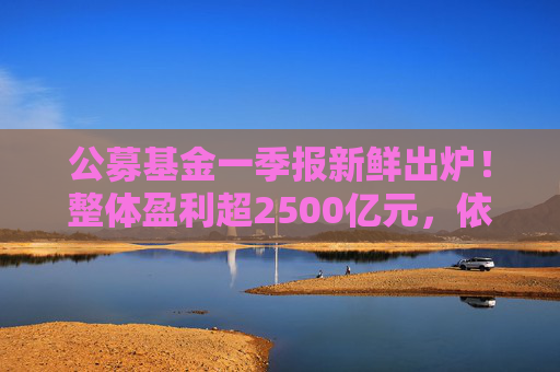 公募基金一季报新鲜出炉！整体盈利超2500亿元，依旧看好科技、大消费  第1张