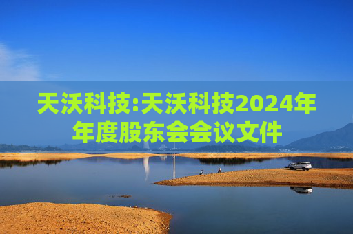 天沃科技:天沃科技2024年年度股东会会议文件  第1张