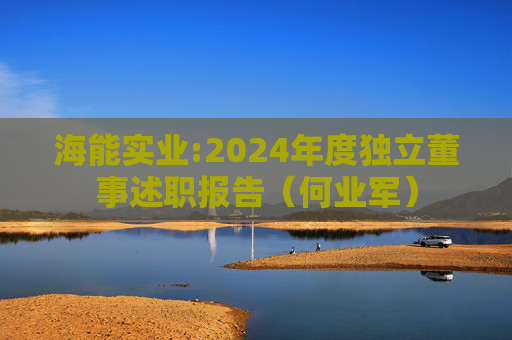 海能实业:2024年度独立董事述职报告（何业军）