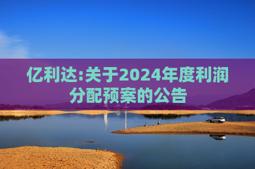 亿利达:关于2024年度利润分配预案的公告  第1张
