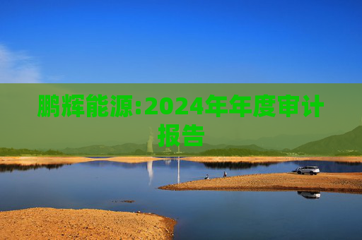 鹏辉能源:2024年年度审计报告