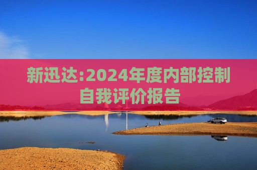 新迅达:2024年度内部控制自我评价报告