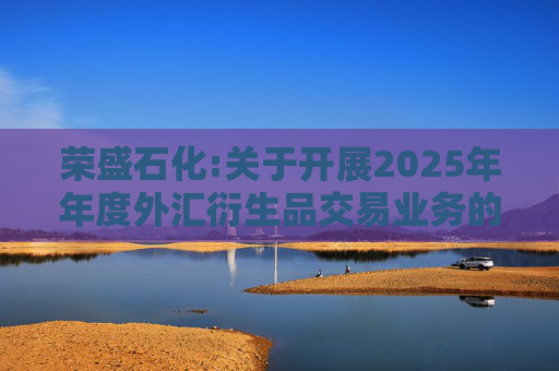 荣盛石化:关于开展2025年年度外汇衍生品交易业务的公告